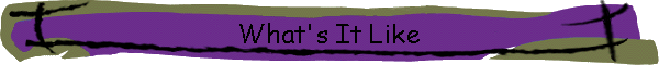 What's It Like